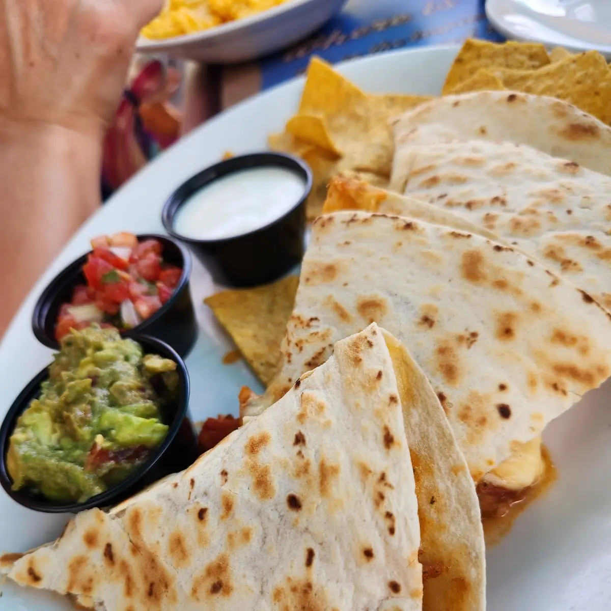 Key West Quesadilla
