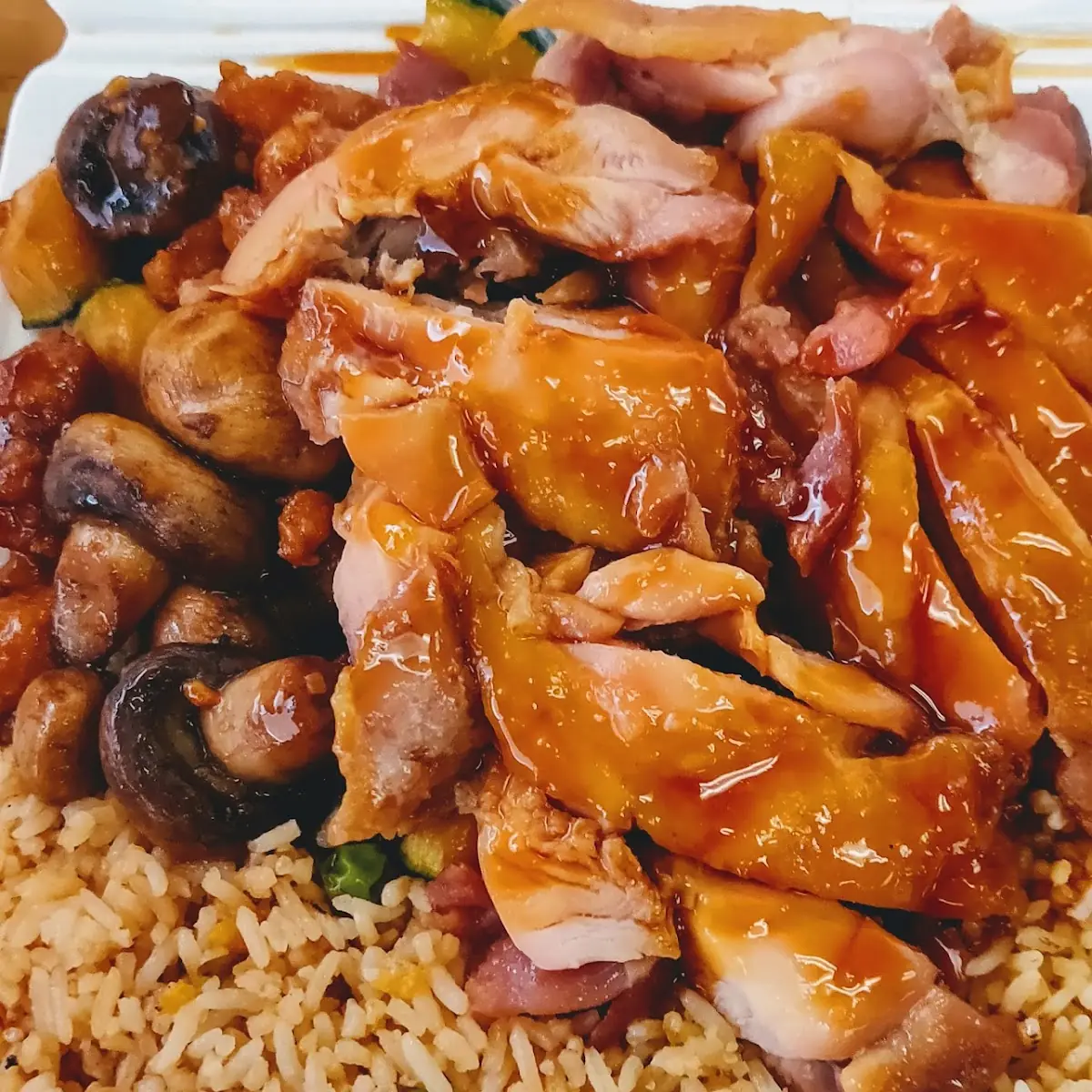 Mushroom Chicken with Fried Rice
