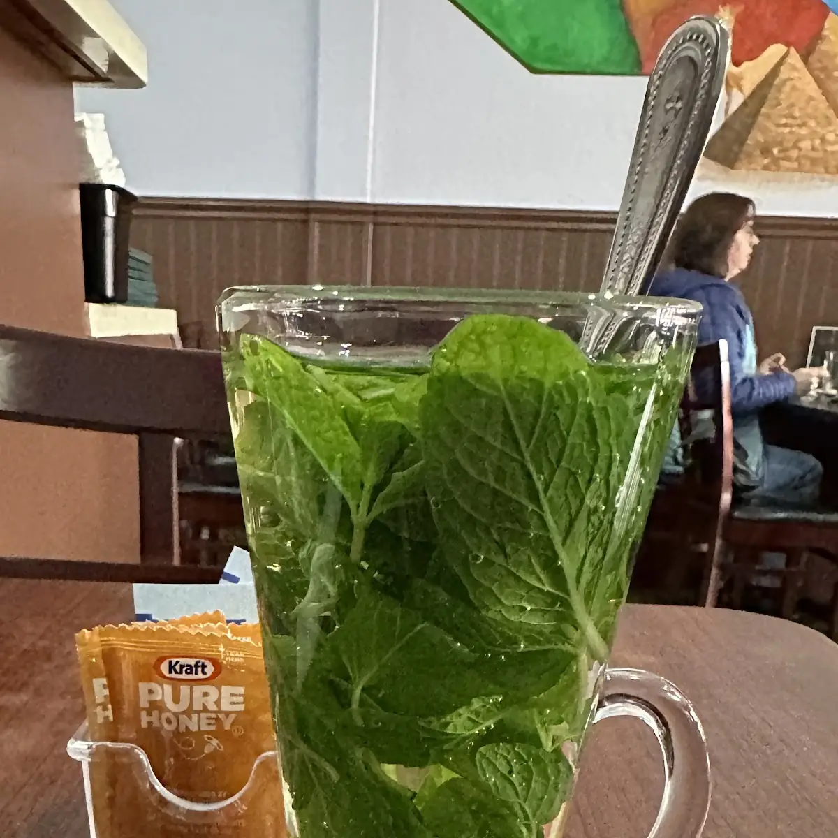 Hot Herbal Mint Tea