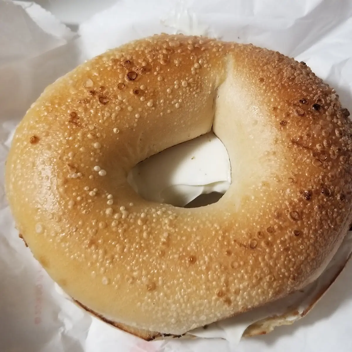 Everything Bagel with Cream Cheese
