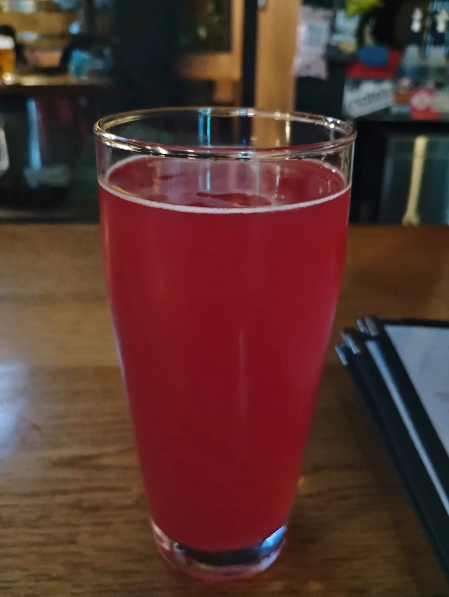 Turnstyle Nopal Prickly Pear & Lime Sour