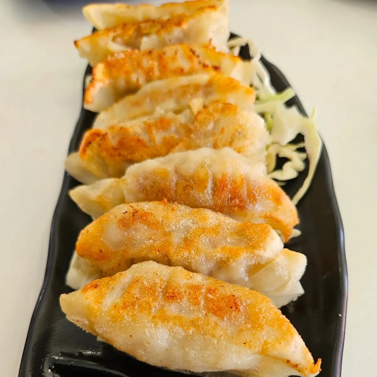 Pan-Fried Gyoza 8