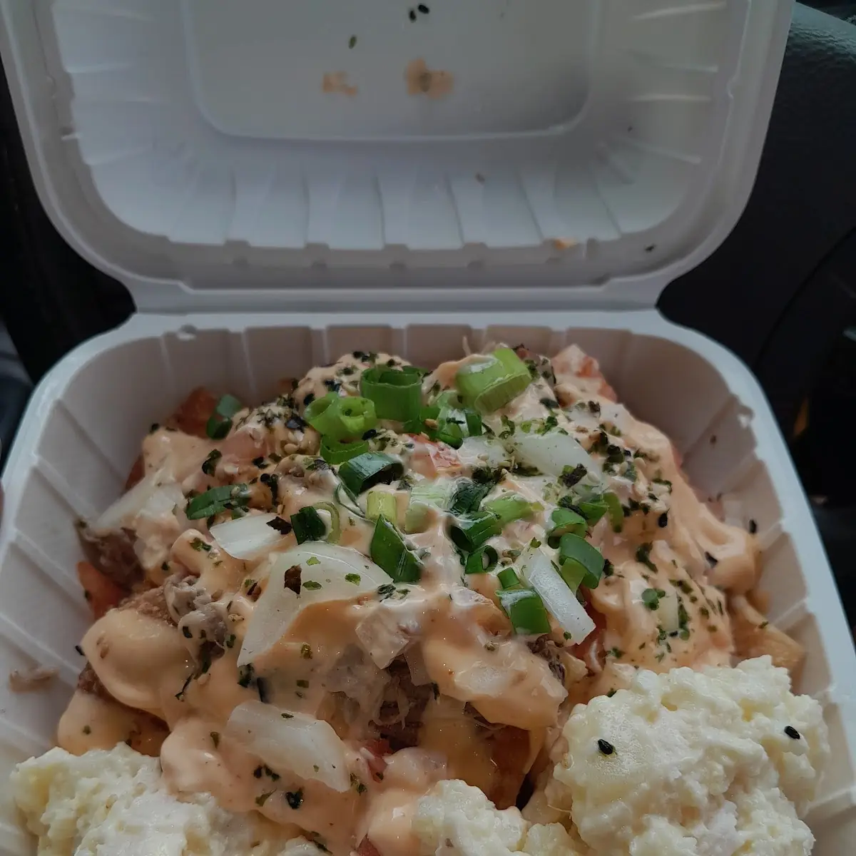 Loaded Fries