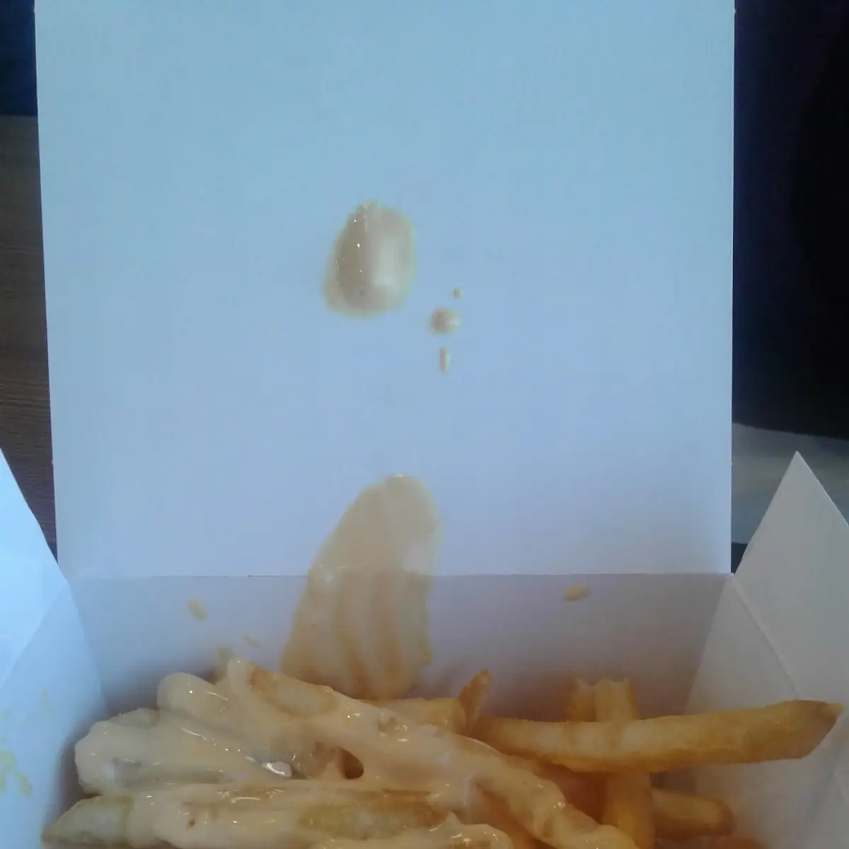 World Famous Fries
