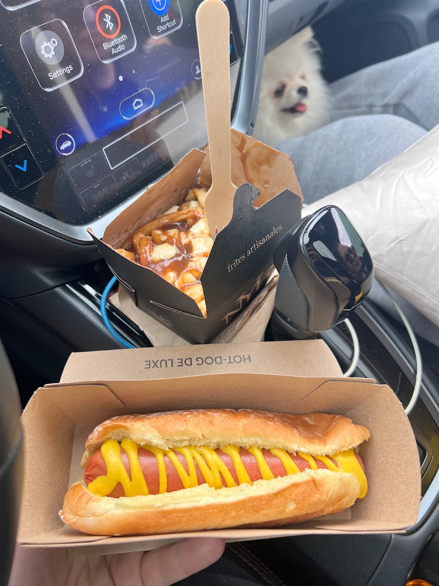 Hot Dog and Classic Poutine, New York Fries