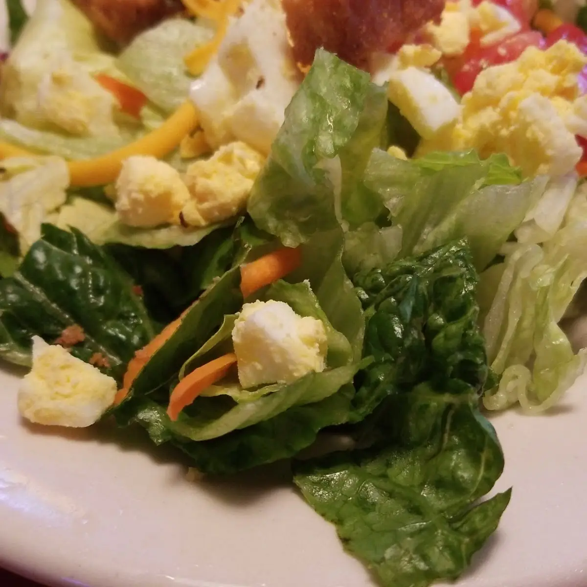 Chicken Critter Salad