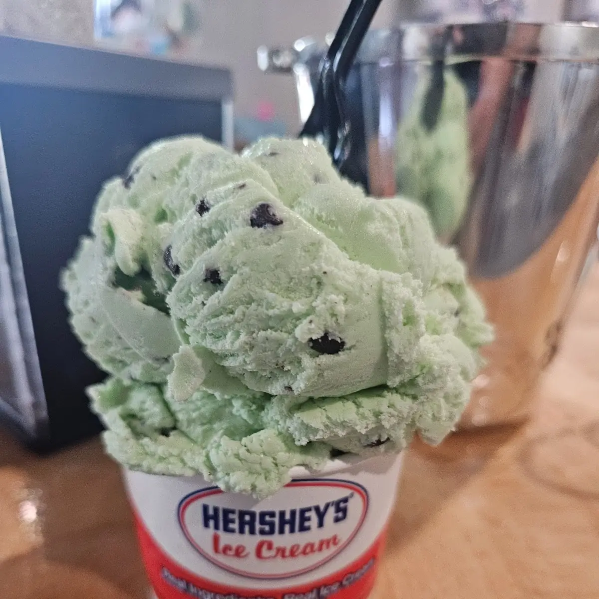 2 Scoop Mint Chocolate Chip