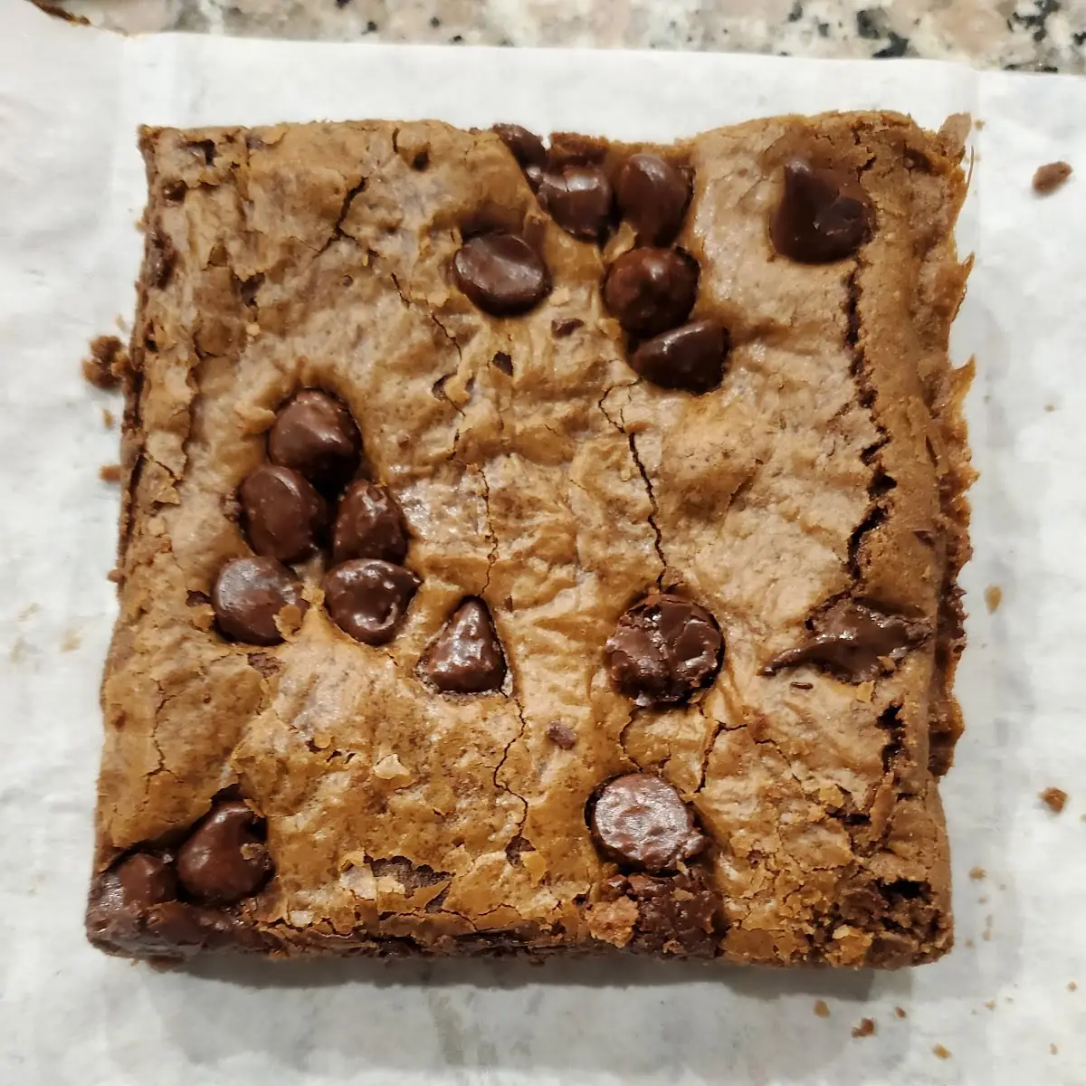 Chocolate Brownie