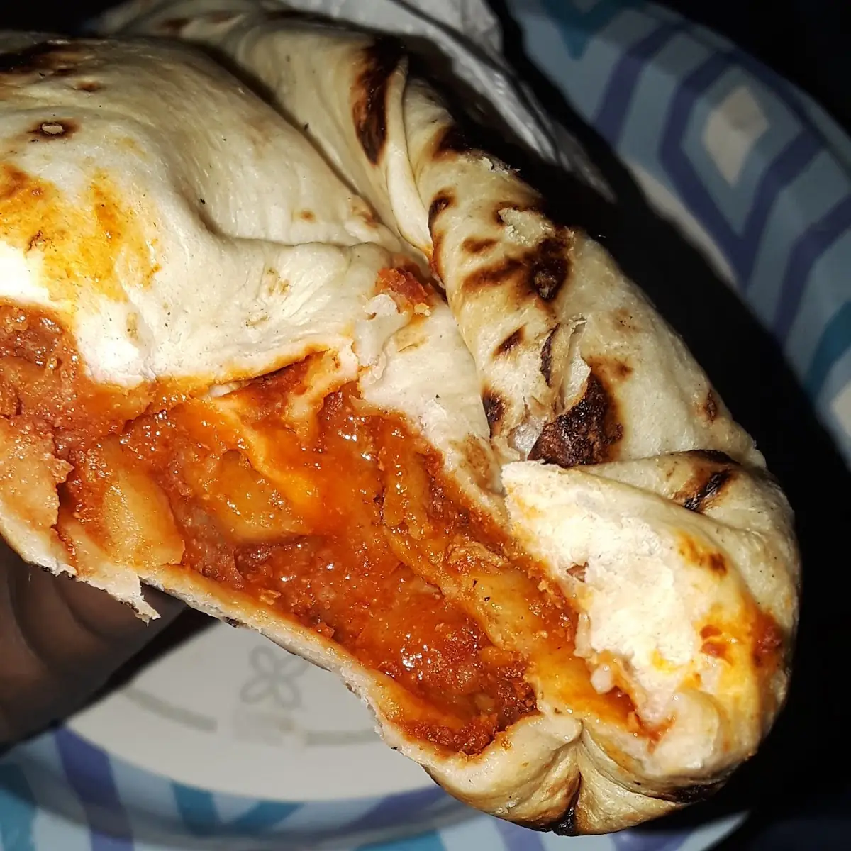 Carne Adovada Burrito