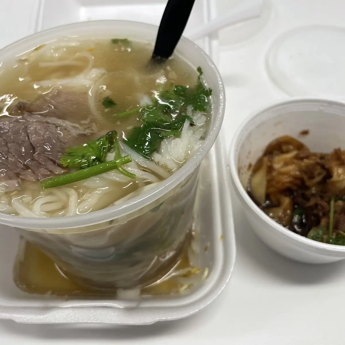 Combo Noodle Soup