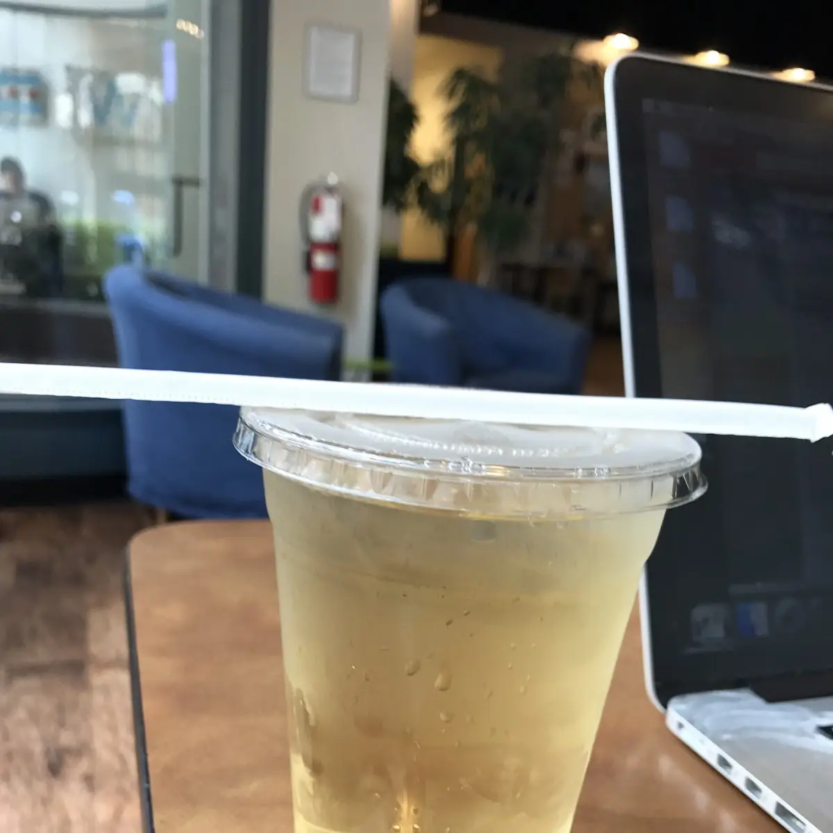 Iced Peach Blossom Tea