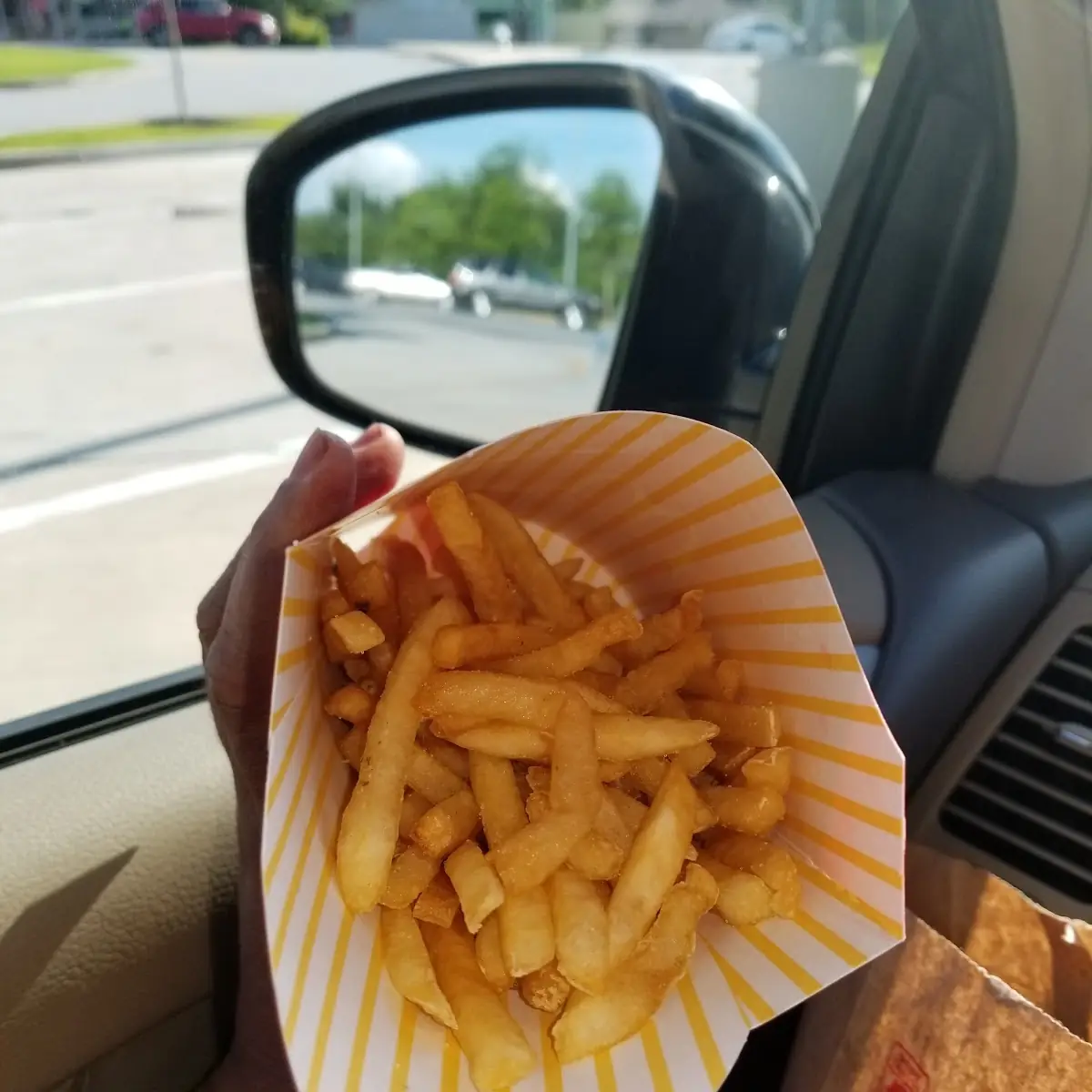 World Famous Fries