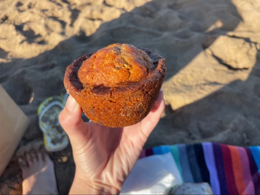 Chocolate Muffin