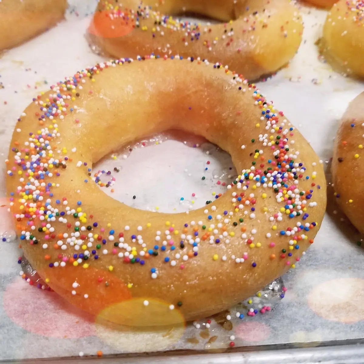 Doughnut