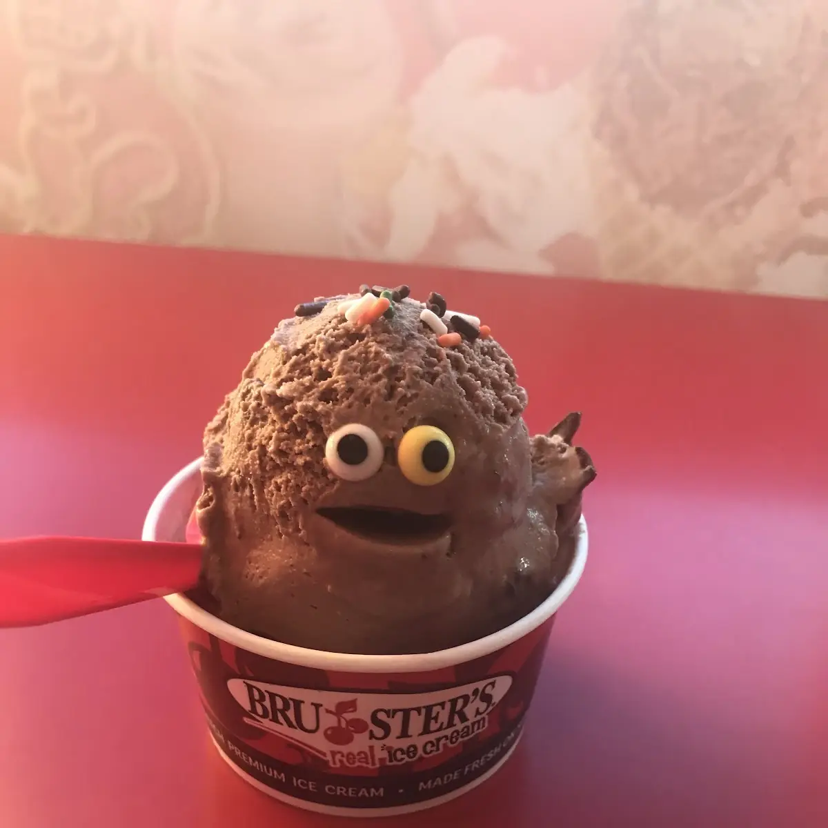 Chocolate Ice Cream