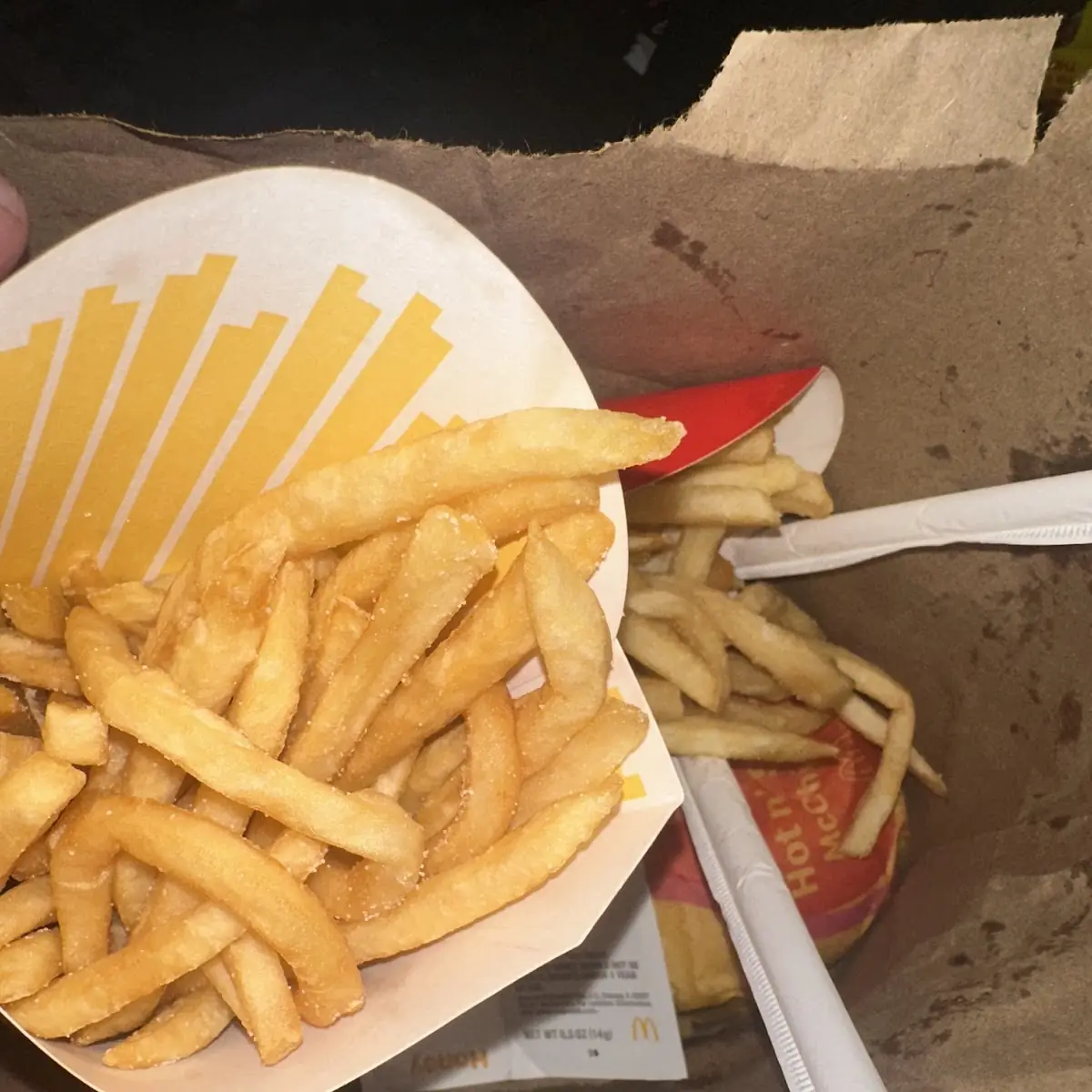 World Famous Fries