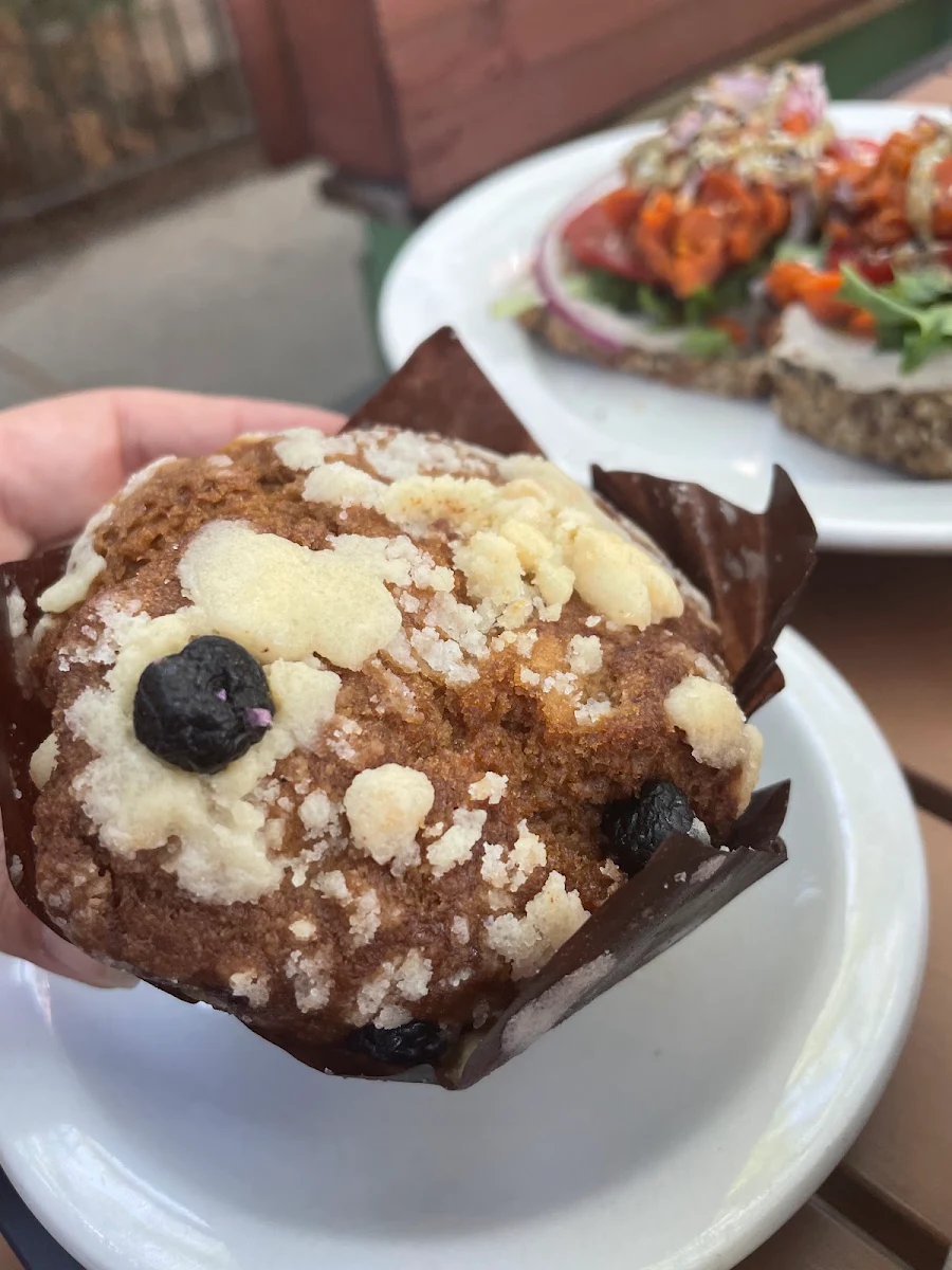 Blueberry Muffin