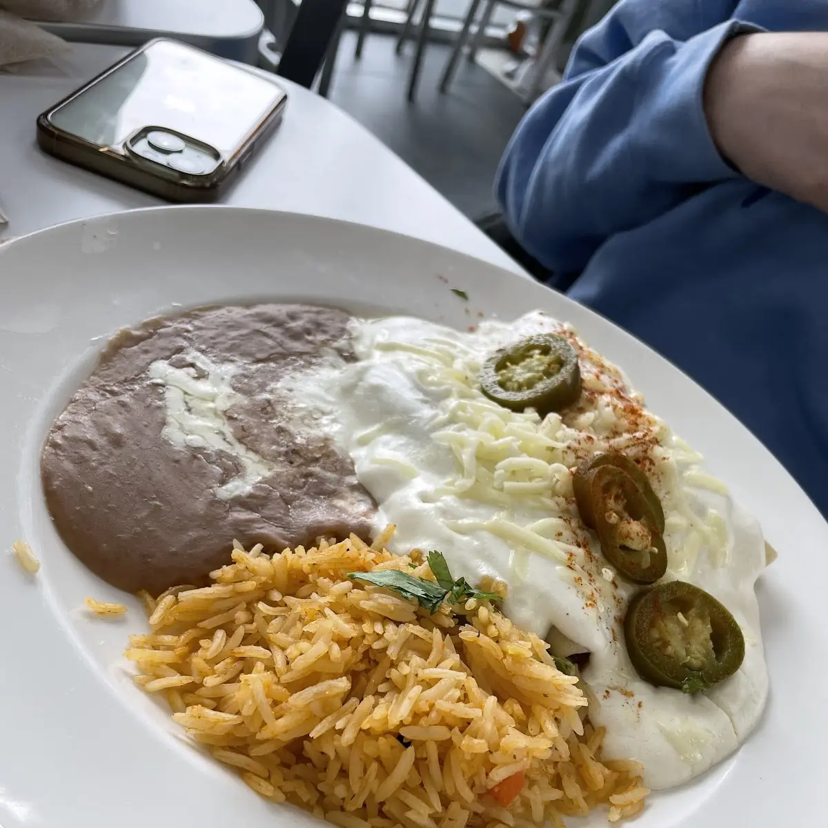Sour Cream Chicken Enchiladas