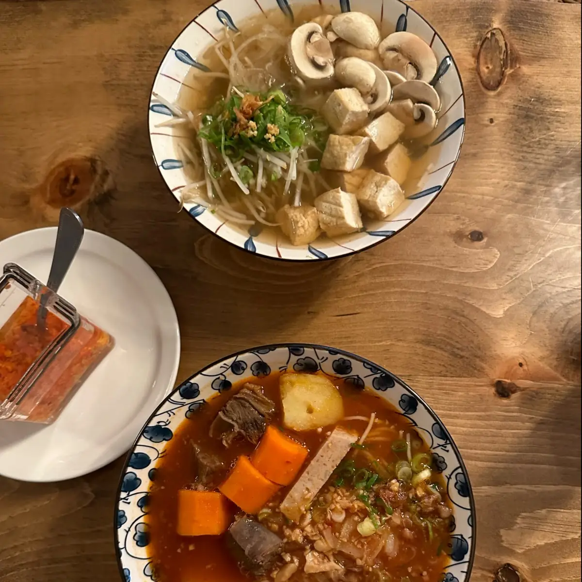 Vegetarian Pho & Vietnamese Beef Stew