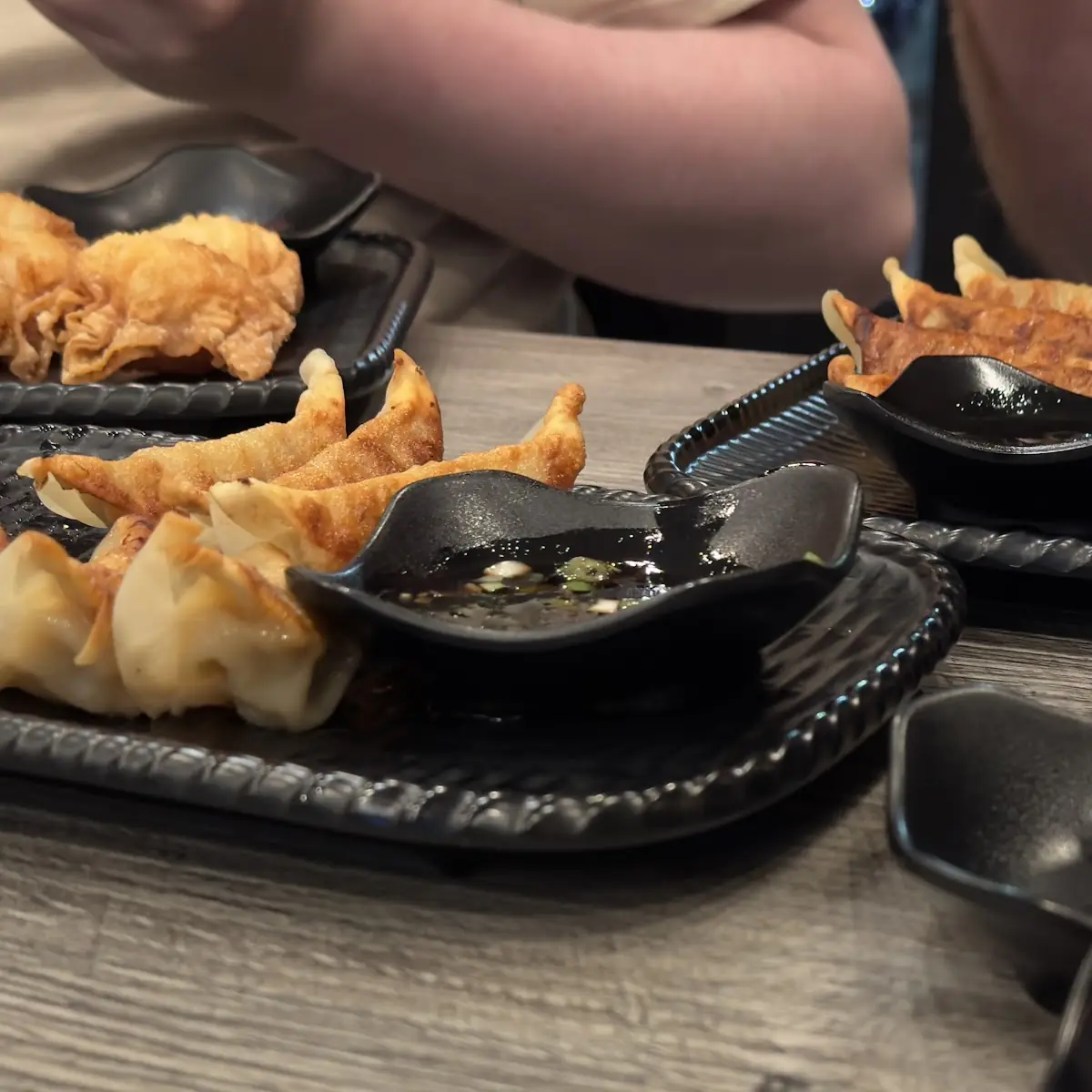 Pan Fried Dumplings