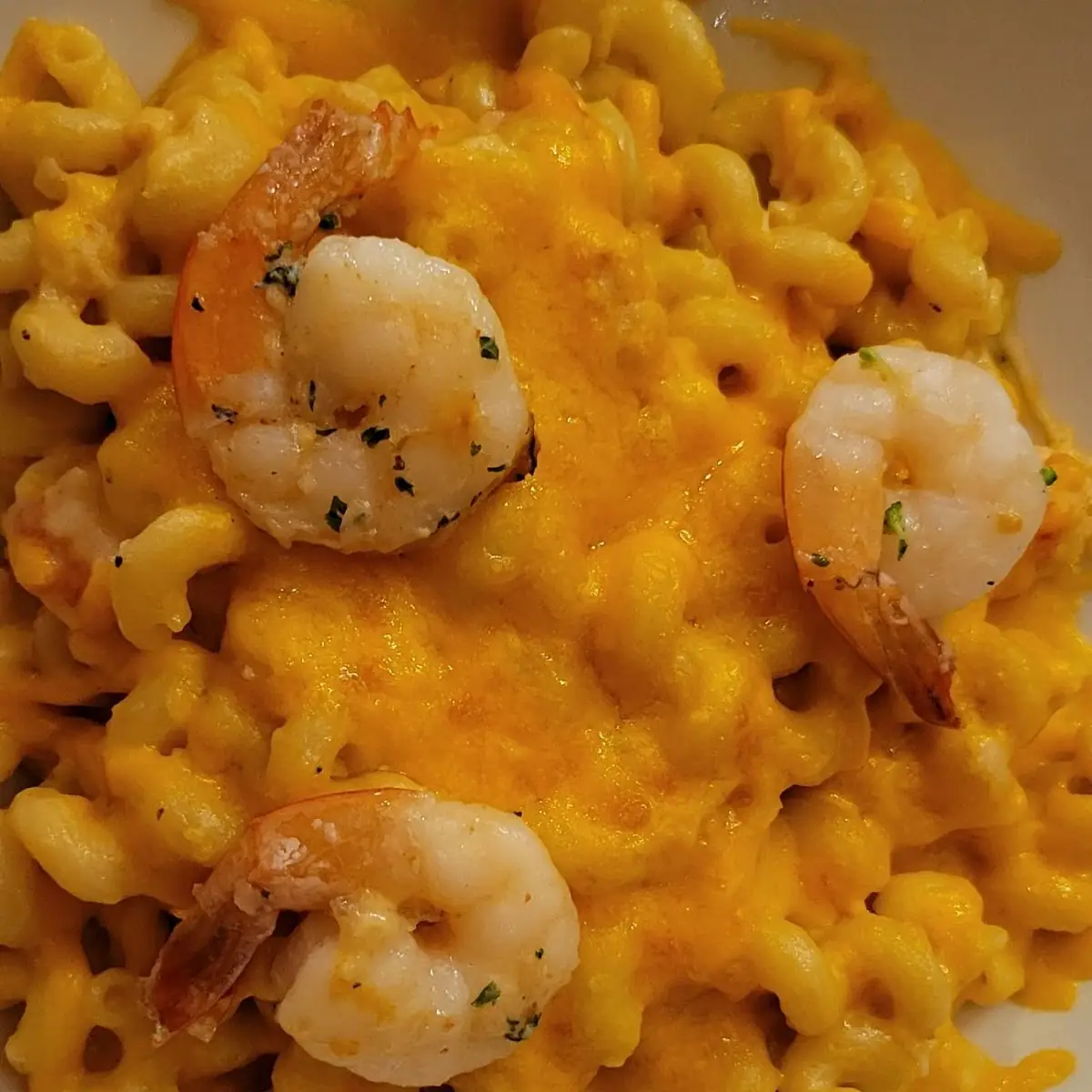 Lobster Mac & Cheese