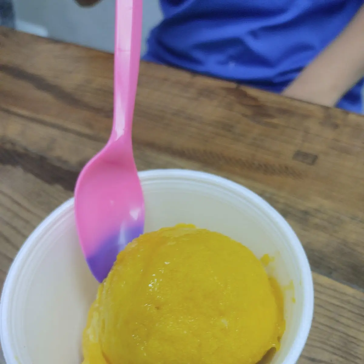 Mango Sorbet Dairy Free