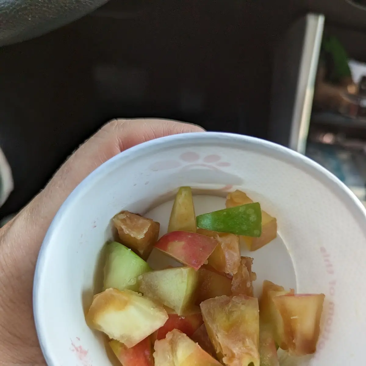 Fresh Fruit