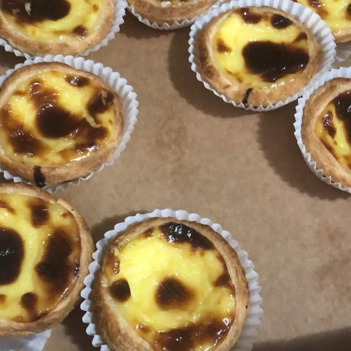 Custard Tart
