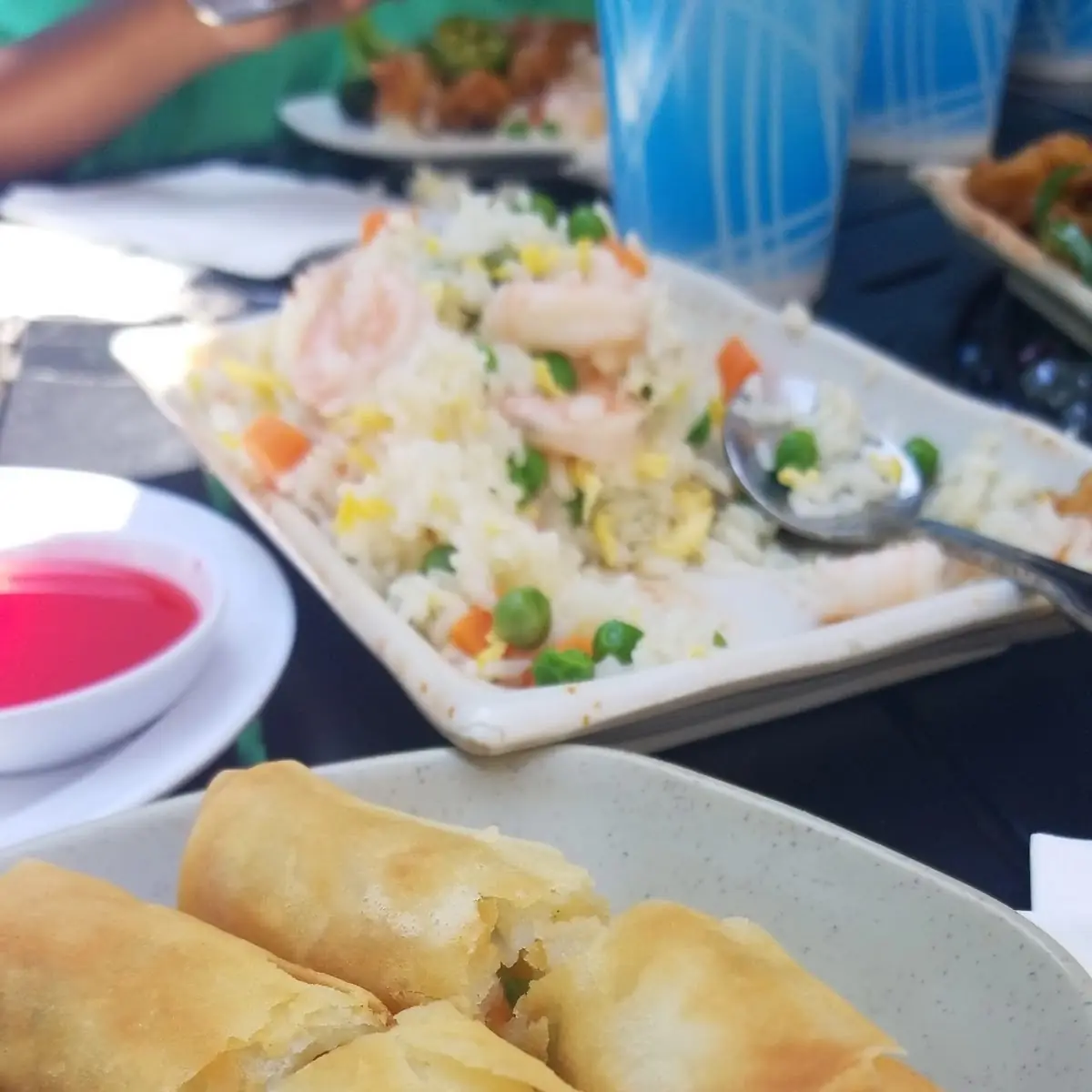 Spring Roll