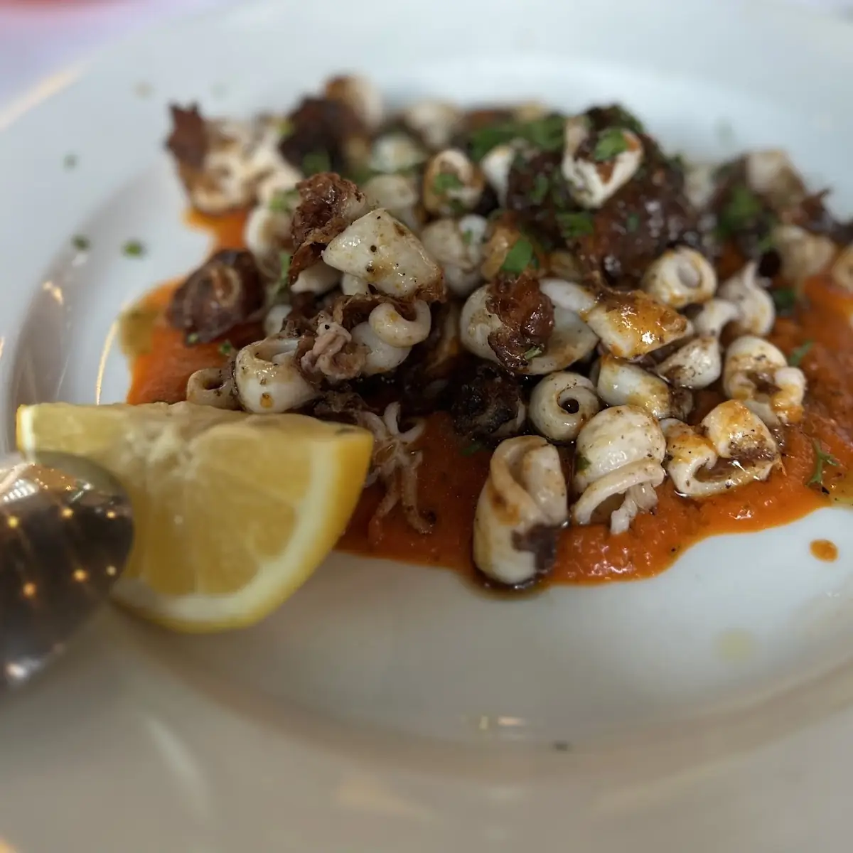 Calamari with Tomato Sauce