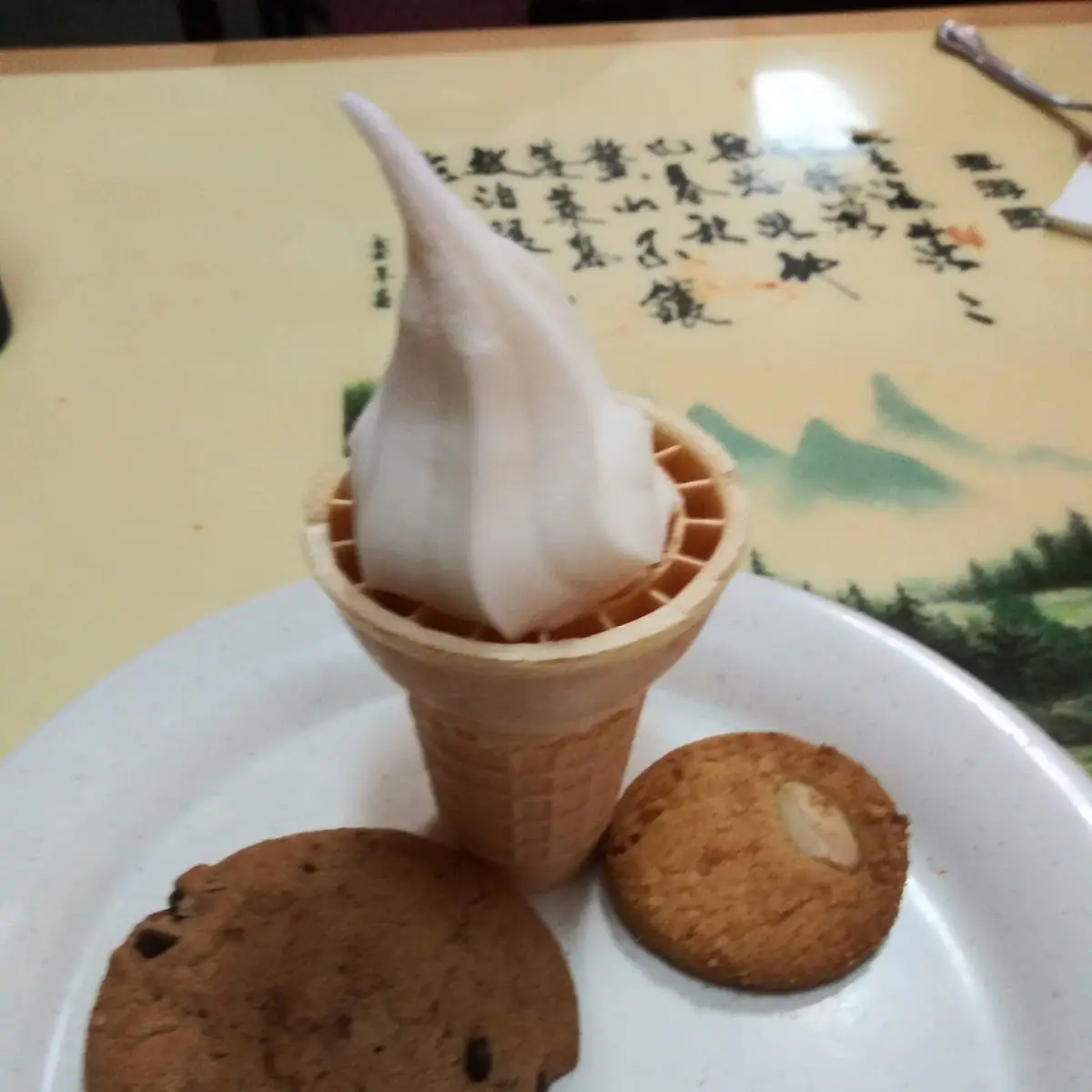 Chocolate Chip