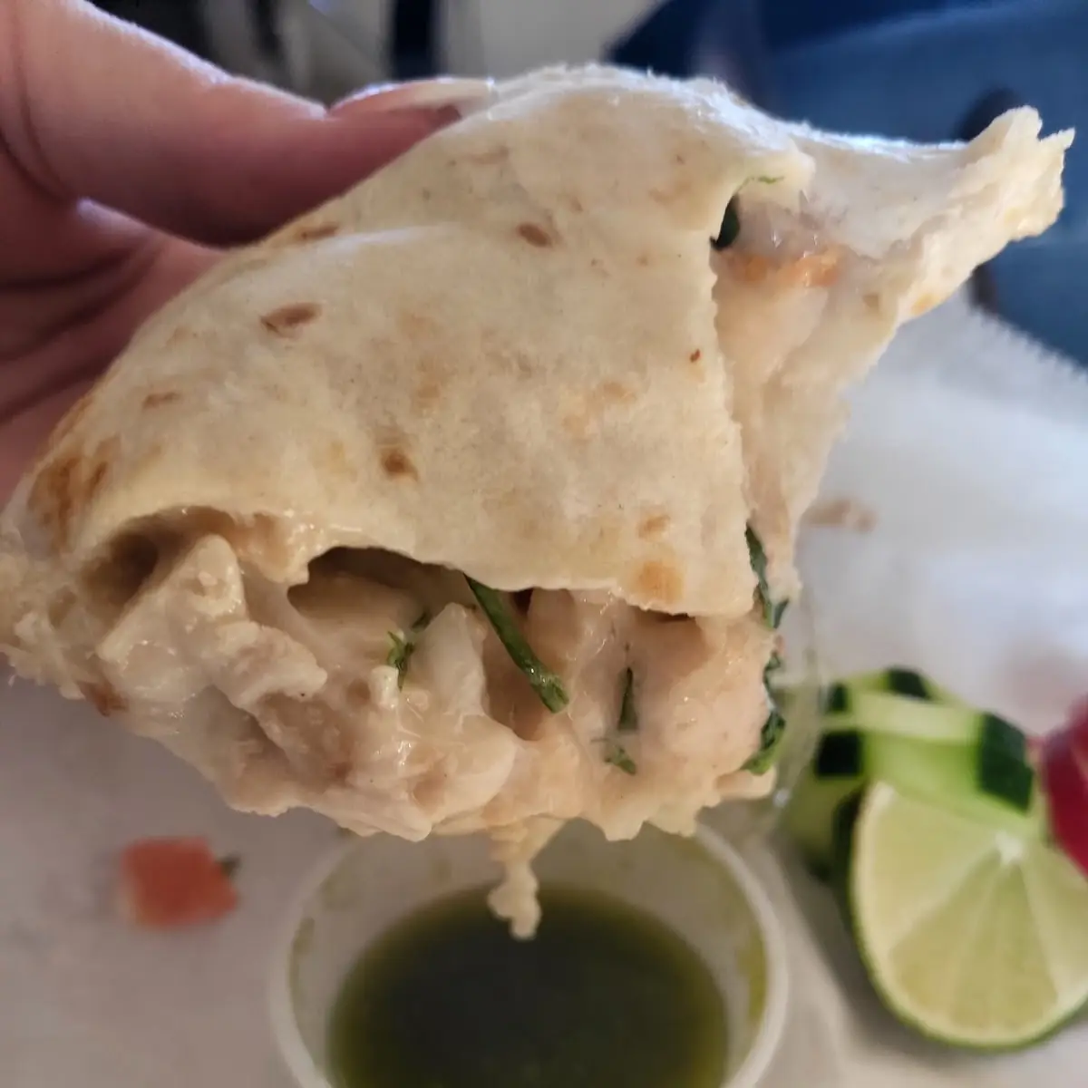 Carne Asada (Burrito) / Beef Steak (Burrito)