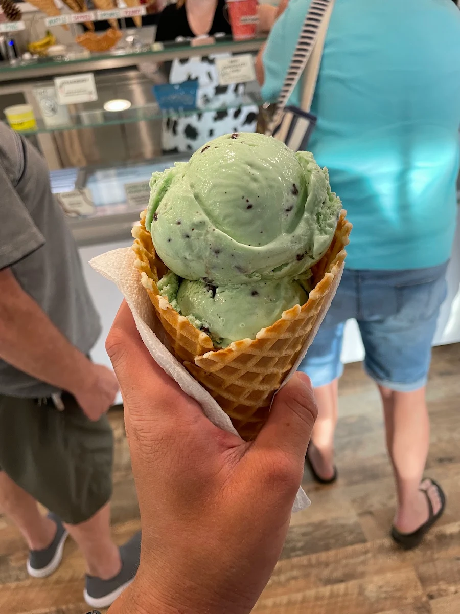 Mint Chip Ice Cream