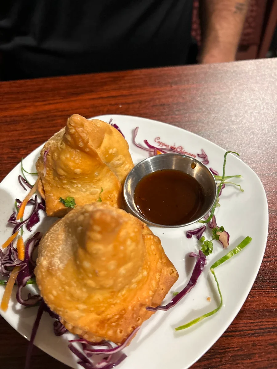 Samosa Plate V