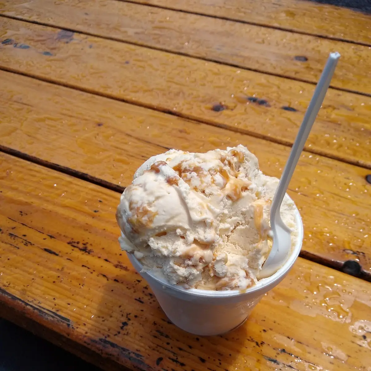 Peanut Butter Caramel Cookie Dough Ice Cream