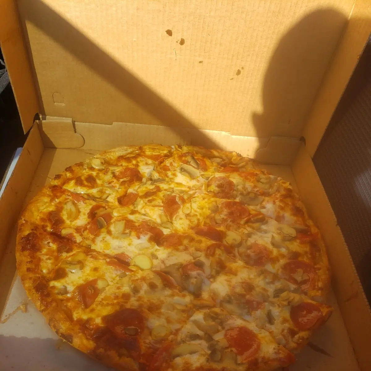 Pepperoni and Mushroom Pizza