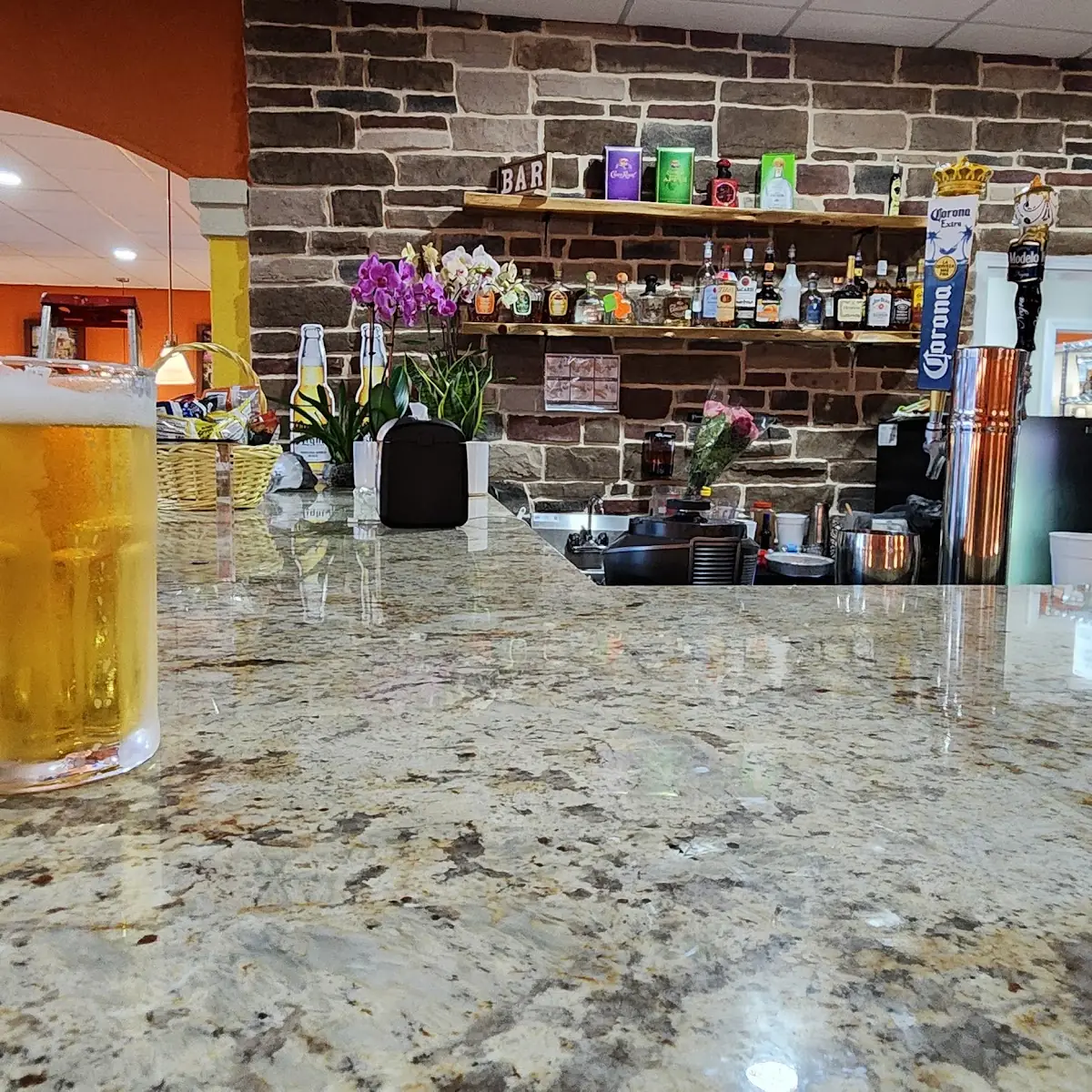 Corona Extra Draft Beer