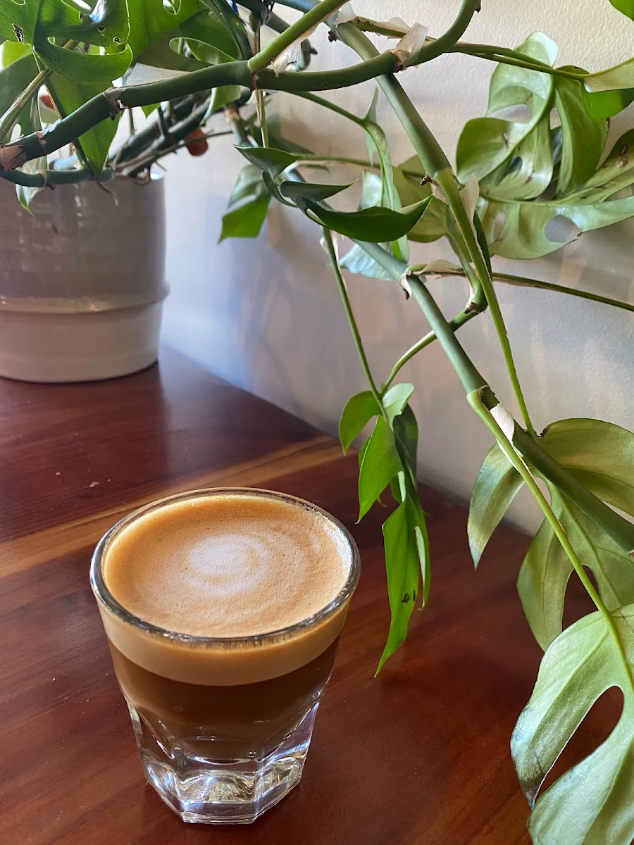 Oat Milk Cortado