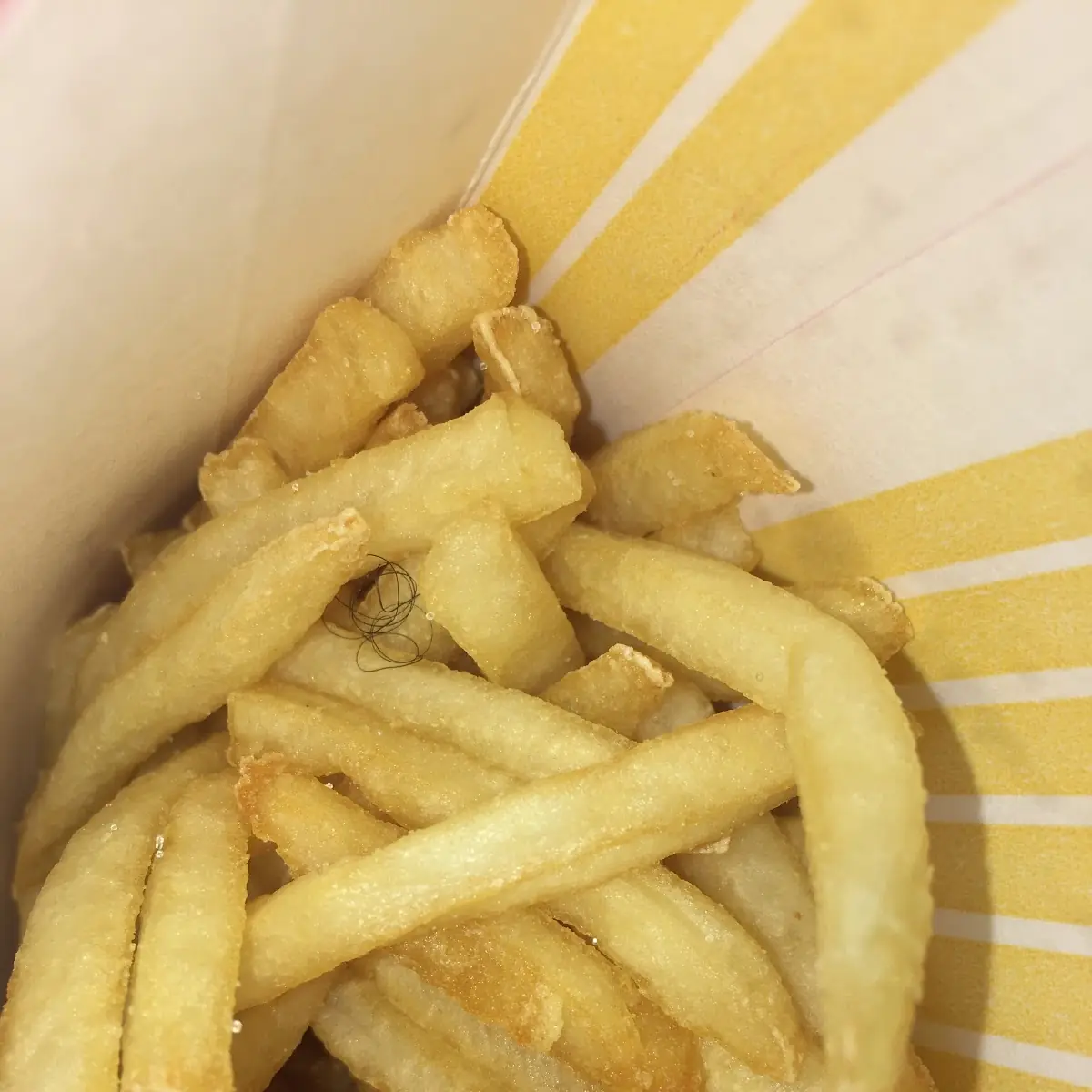 World Famous Fries