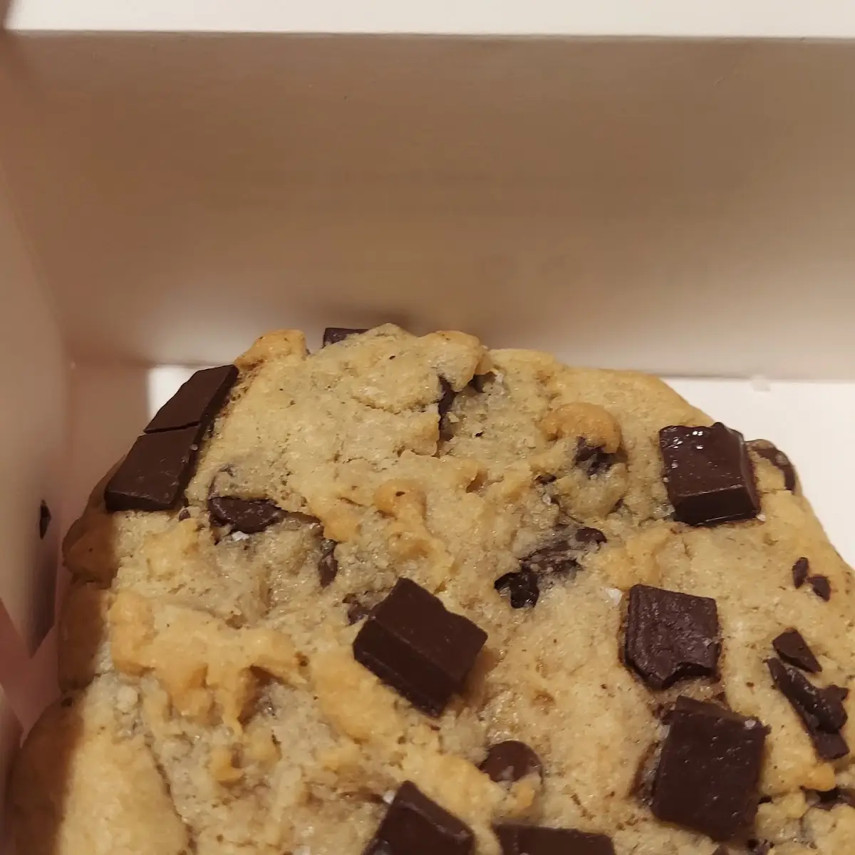 Chocolate Chip Cookie