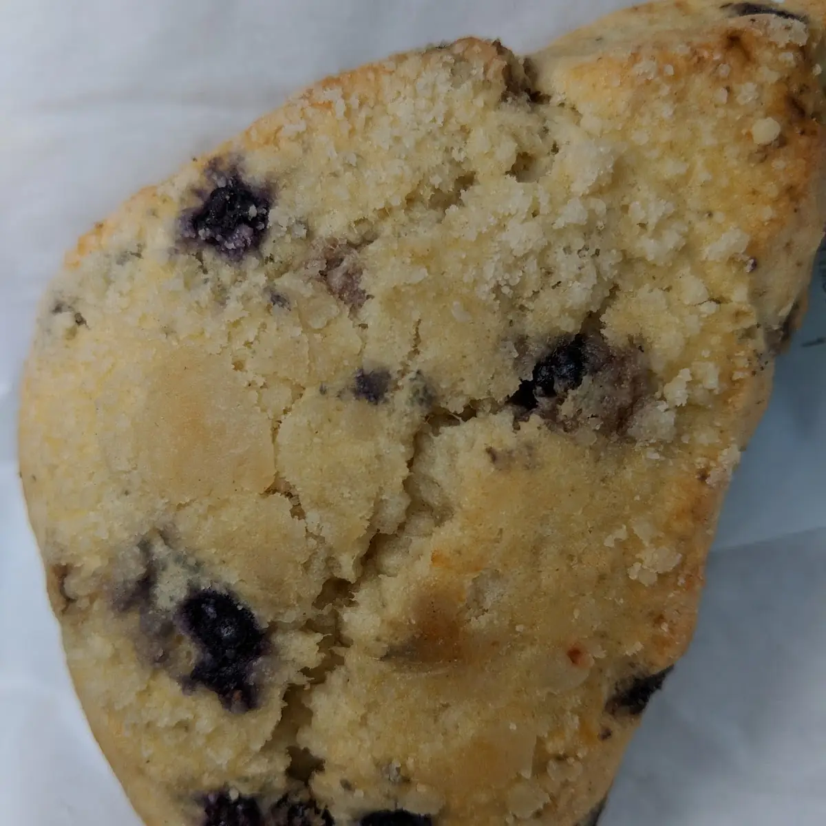 Petite Vanilla Bean Scone