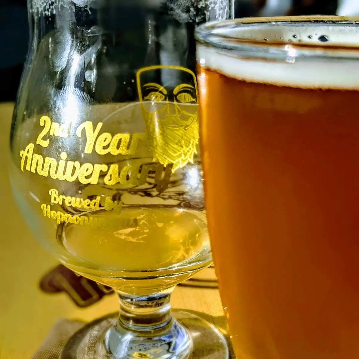 What You Need IPA