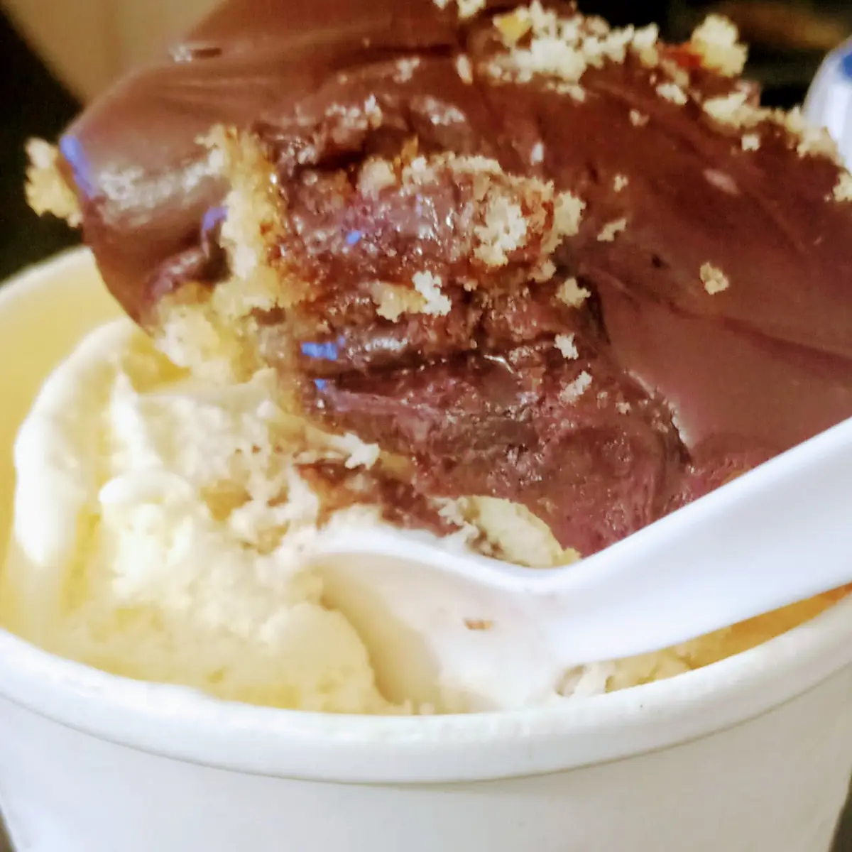 Vanilla Ice Cream and Cake