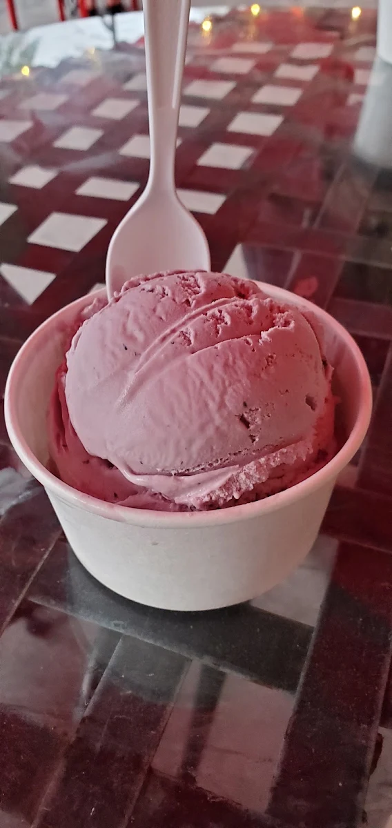 Maine Blueberry Ice Cream