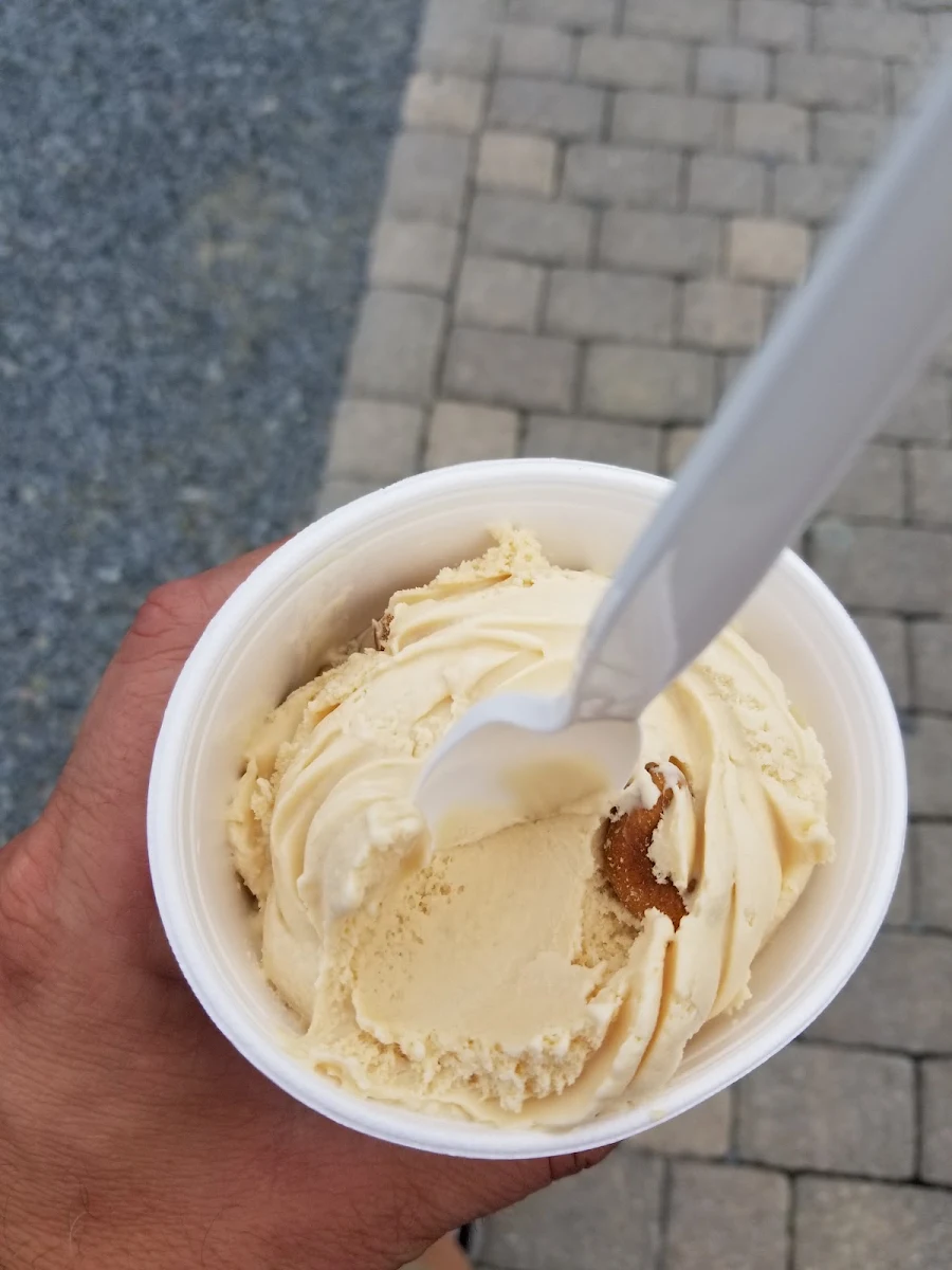 Cookie Dough Blizzard Type Thing