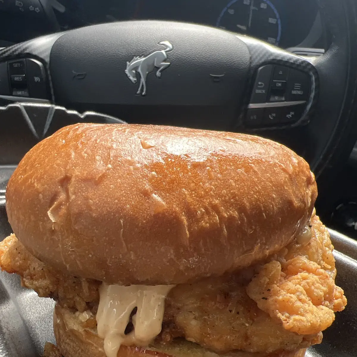 Chicken Sandwich