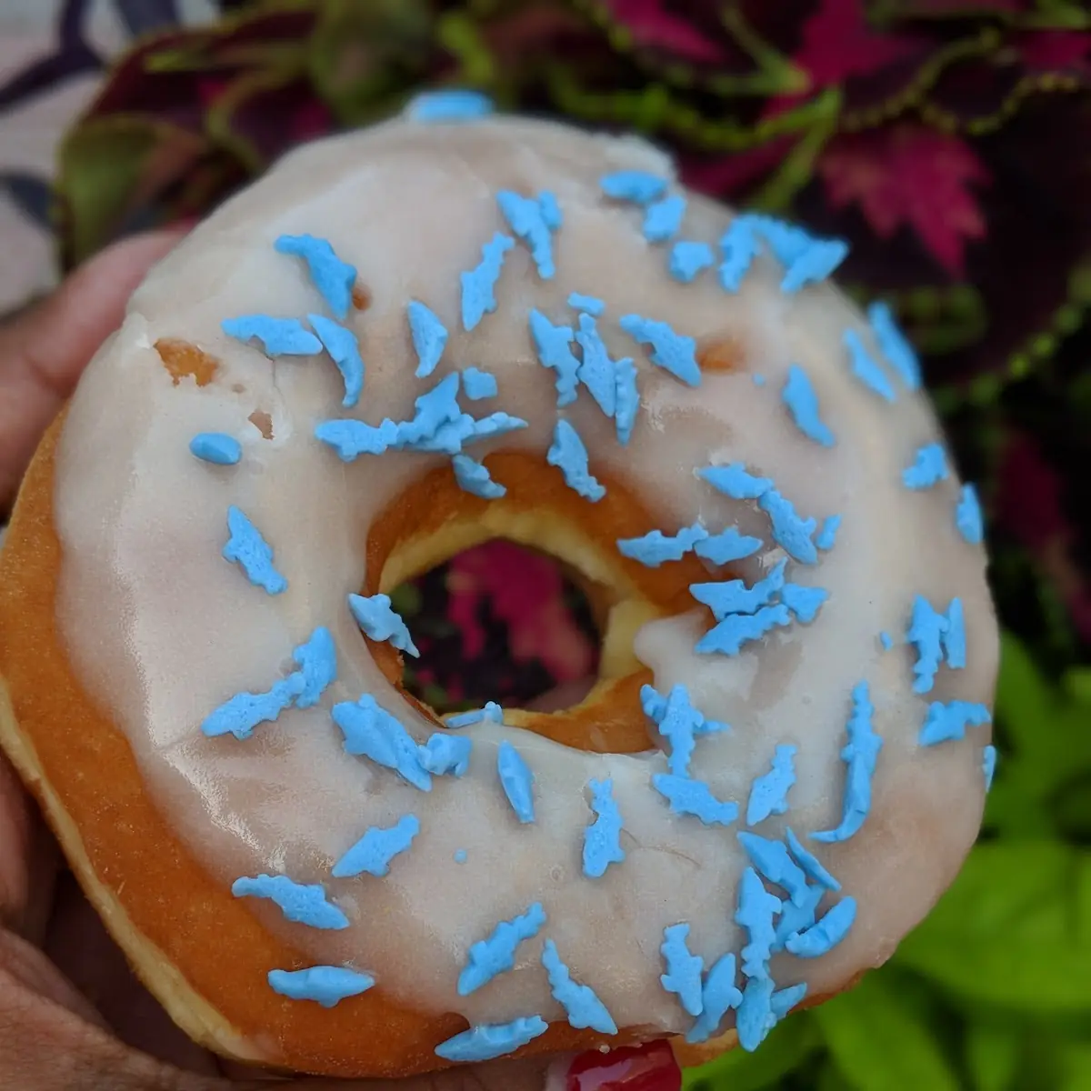 Shark Bite Donut