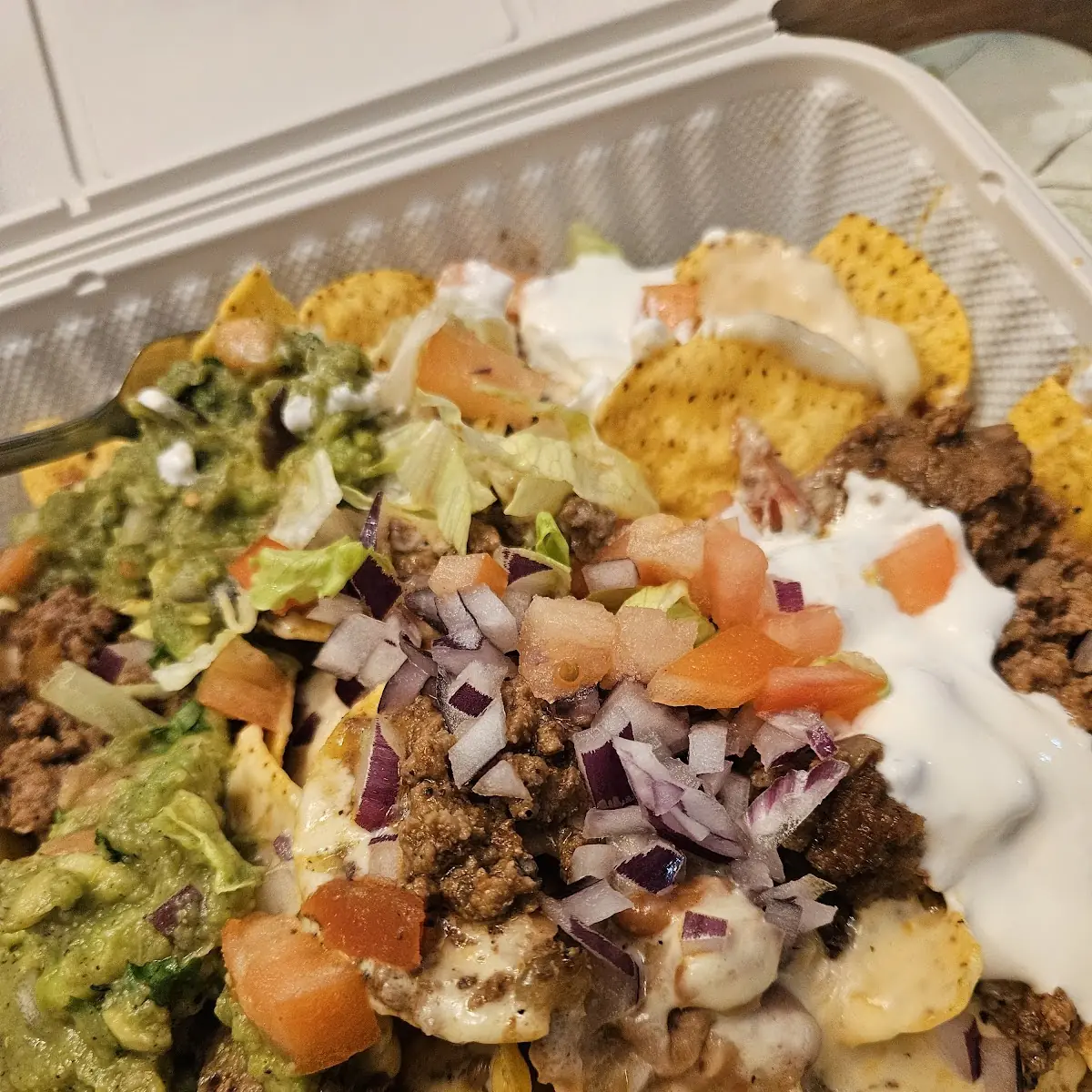 Carne Asada Fries
