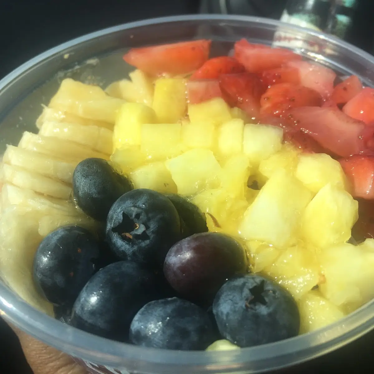 Fruit Cup