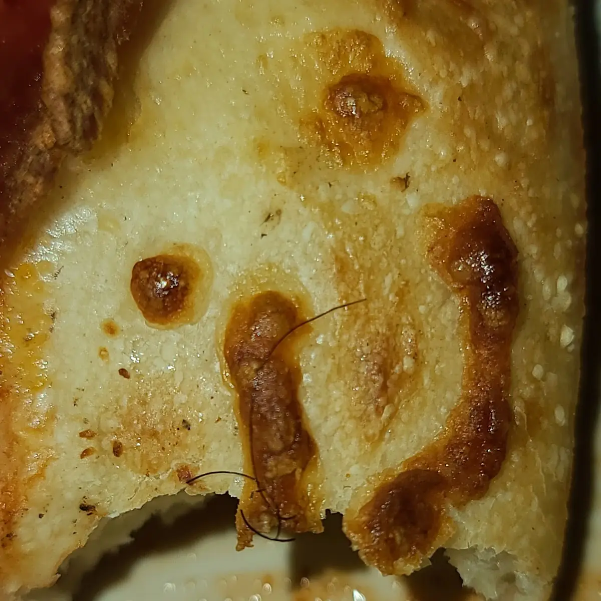 Onion Soup